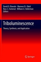 Ross S. Fontenot, William A. Hollerman, Okenw O I Okoli, Okenwa O I Okoli, Okenwa O. I. Okoli, David O. Olawale... - Triboluminescence