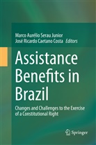 Marc Aurélio Serau Junior, Marco Aurélio Serau Junior, José Ricardo Caetano Costa, Ricardo Caetano Costa, Marco Aurélio Serau Junior - Assistance Benefits in Brazil
