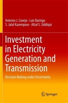 Lui Baringo, Luis Baringo, Antonio Conejo, Antonio J Conejo, Antonio J. Conejo, S Jalal Kazempour... - Investment in Electricity Generation and Transmission