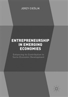 Jerzy Cieslik, Jerzy Cieślik - Entrepreneurship in Emerging Economies