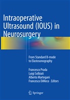 Francesco Dimeco, Alberto Martegani, Alberto Martegani et al, Francesco Prada, Luig Solbiati, Luigi Solbiati - Intraoperative Ultrasound (IOUS) in Neurosurgery