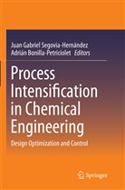 Bonilla-Petriciole, Adrián Bonilla-Petriciolet, Jua Gabriel Segovia-Hernández, Juan Gabriel Segovia-Hernández, Juan Gabriel Segovia-Hernández - Process Intensification in Chemical Engineering