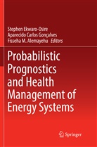 Fisseha M. Alemayehu, Aparecid Carlos Gonçalves, Aparecido Carlos Gonçalves, Stephen Ekwaro-Osire, Aparecido Carlos Gonçalves, Fisseha M Alemayehu - Probabilistic Prognostics and Health Management of Energy Systems