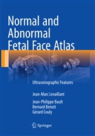 Jean-Philipp Bault, Jean-Philippe Bault, Benoit, Bernard Benoit, Gérard Couly, Jean-Mar Levaillant... - Normal and Abnormal Fetal Face Atlas