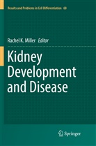 Rache K Miller, Rachel K Miller, Rachel K. Miller - Kidney Development and Disease