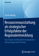 Eva M Brüning, Eva M. Brüning - Ressourcenausstattung als strategischer Erfolgsfaktor der Regionalentwicklung