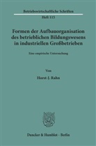 Horst-J Rahn, Horst-J. Rahn - Formen der Aufbauorganisation des betrieblichen Bildungswesens in industriellen Großbetrieben.