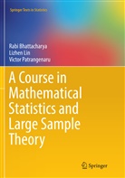 Rab Bhattacharya, Rabi Bhattacharya, Lizhe Lin, Lizhen Lin, Victo Patrangenaru, Victor Patrangenaru - A Course in Mathematical Statistics and Large Sample Theory