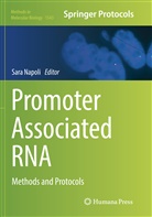 Sar Napoli, Sara Napoli - Promoter Associated RNA