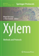 Migue de Lucas, Miguel de Lucas, J. Peter Etchhells, Peter Etchhells, Peter Etchhells - Xylem