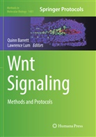Quin Barrett, Quinn Barrett, Lum, Lum, Lawrence Lum - Wnt Signaling