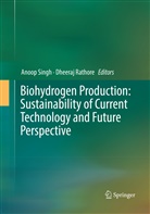 Rathore, Rathore, Dheeraj Rathore, Anoo Singh, Anoop Singh - Biohydrogen Production: Sustainability of Current Technology and Future Perspective