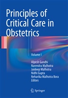 Neharika Malhotra Bora, Alpesh Gandhi, Nidhi Gupta, Jaideep Malhotra, Narendr Malhotra, Narendra Malhotra... - Principles of Critical Care in Obstetrics