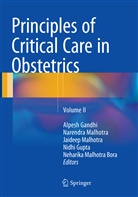 Neharika Malhotra Bora, Alpesh Gandhi, Nidhi Gupta, Jaideep Malhotra, Narendr Malhotra, Narendra Malhotra... - Principles of Critical Care in Obstetrics