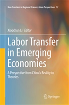 Xiaochu Li, Xiaochun Li - Labor Transfer in Emerging Economies