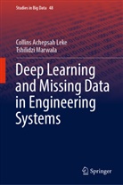 Collins Achepsa Leke, Collins Achepsah Leke, Tshilidzi Marwala - Deep Learning and Missing Data in Engineering Systems