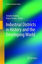Tomok Hashino, Tomoko Hashino, Otsuka, Otsuka, Keijiro Otsuka - Industrial Districts in History and the Developing World
