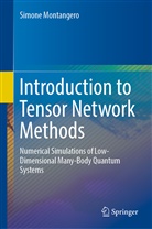Simone Montangero - Introduction to Tensor Network Methods