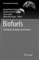 Avinash K. Agarwal, Avinash Kumar Agarwal, Rashmi Avinash Agarwal, Rashm Avinash Agarwal, Rashmi Avinash Agarwal, Tarun Gupta... - Biofuels