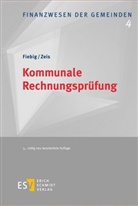 Helmu Fiebig, Helmut Fiebig, Adelheid Zeis, Adelheid (Prof. Dr.) Zeis - Kommunale Rechnungsprüfung