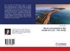 Nikolay Kovachev - Noise assessment in the coupe of a car - risk study
