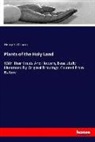 Henry S Osborn, Henry S. Osborn - Plants of the Holy Land