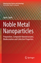 Ignac Capek, Ignác Capek - Noble Metal Nanoparticles