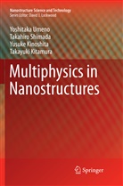 Yusu Kinoshita, Yusuke Kinoshita, Takayuki Kitamura, Takahir Shimada, Takahiro Shimada, Yoshitak Umeno... - Multiphysics in Nanostructures