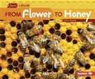 Robin Nelson - From Flower to Honey