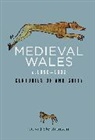 David Stephenson - Medieval Wales C.1050-1332