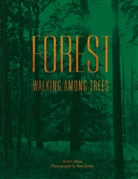 Matt Collins, Roo Lewis, Roo Lewis - Forest