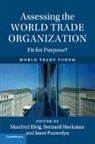 Manfred Elsig, Manfred (Universitat Salzburg) Hoekman Elsig, Manfred Elsig, Elsig Manfred, Bernard Hoekman, Bernard (European University Institute Hoekman... - Assessing the World Trade Organization