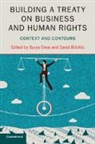 Surya Deva, Surya (City University of Hong Kong) Bilchit Deva, David Bilchitz, David (University of Johannesburg) Bilchitz, Bilchitz David, Surya Deva... - Building a Treaty on Business and Human Rights