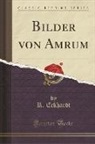 R. Eckhardt - Bilder von Amrum (Classic Reprint)