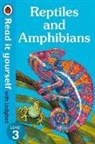 Ladybird - Reptiles and Amphibians