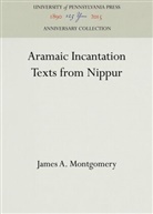 James A Montgomery, James A. Montgomery, Montgomery James A. - Aramaic Incantation Texts from Nippur