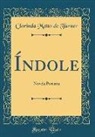 Clorinda Matto De Turner - Índole