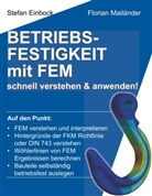 Stefa Einbock, Stefan Einbock, Florian Mailänder - Betriebsfestigkeit mit FEM