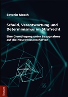 Severin Mosch - Schuld, Verantwortung und Determinismus im Strafrecht