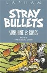 Roy Crane, David Lapham, Fletcher Hanks, David Lapham, Paul Karasik, Norwood Rick - Stray Bullets: Sunshine & Roses Volume 4