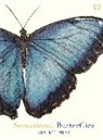 Ben Rothery - Sensational Butterflies