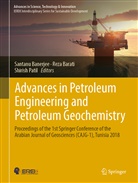 Santanu Banerjee, Rez Barati, Reza Barati, Shirish Patil - Advances in Petroleum Engineering and Petroleum Geochemistry