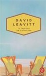 David Leavitt - Un luogo dove non sono mai stato