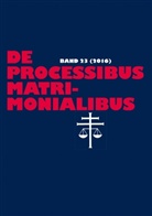 Elmar Güthoff, Karl-Heinz Selge - De processibus matrimonialibus