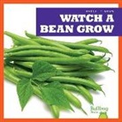 Kirsten Chang - Watch a Bean Grow