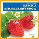 Kirsten Chang - Watch a Strawberry Grow