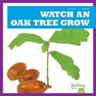 Kirsten Chang - Watch an Oak Tree Grow