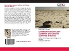 Leidis Dayana Utria Padilla - Contaminacion por Cadmio en Ostras (Ostrea Edulis)