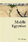 Peter Beylage - Middle Egyptian