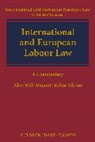 Edoardo Ales, Edoardo Bell Ales, Mark Bell, Olaf Deinert, Robin-Ol, Edoardo Ales... - International and European Labour Law